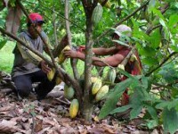 /album/fotogaleria/a5354345-jpeg/